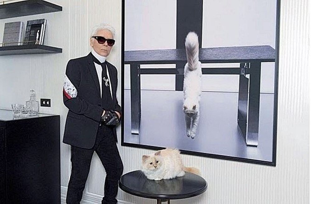 Karl Lagerfeld'in kedisi Choupette mirasın tadını Paris'te çıkarıyor