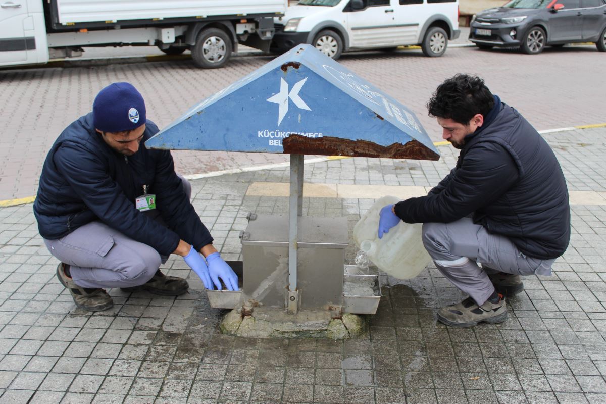 Küçükçekmece Belediyesi, minik dostları unutmadı