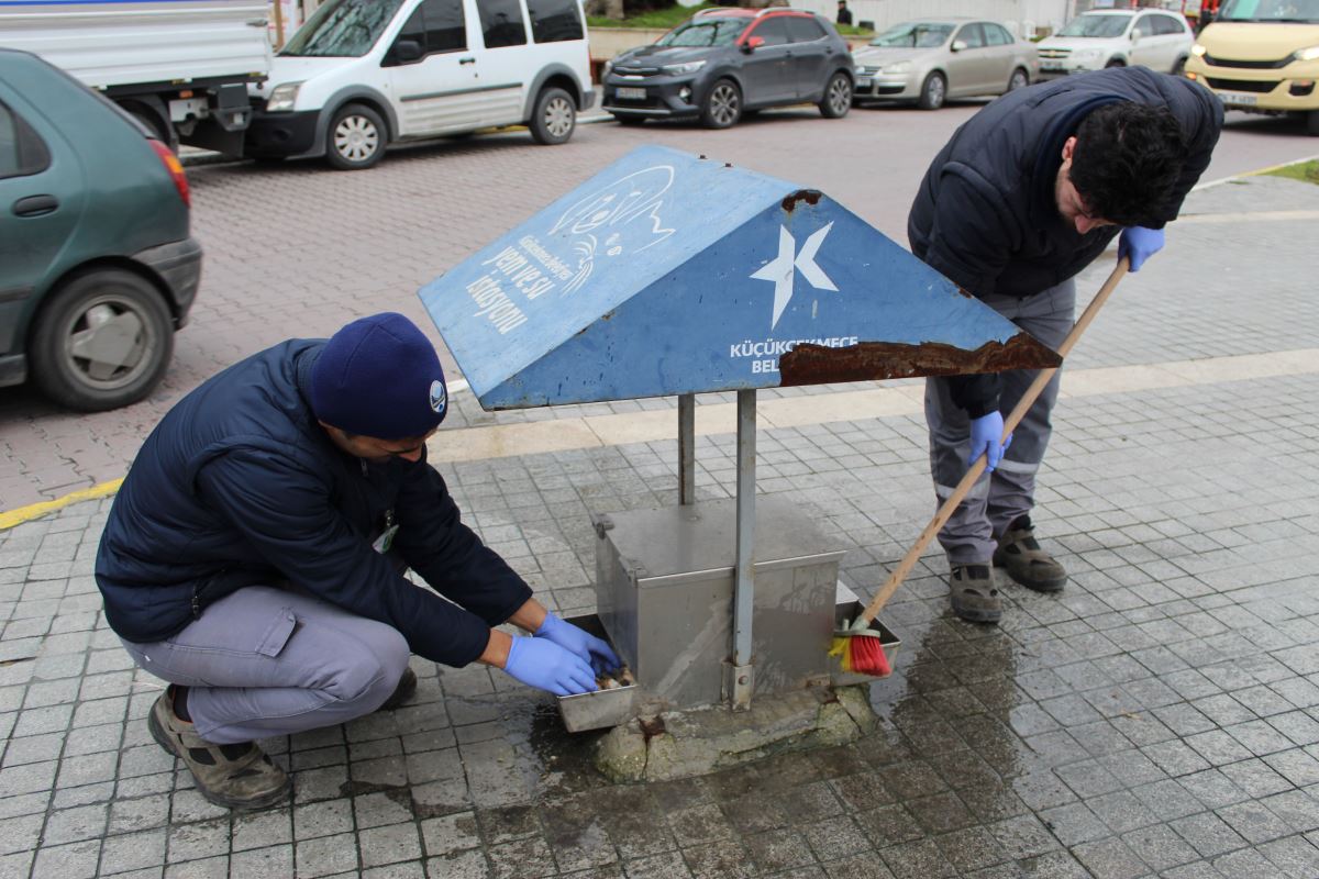 Küçükçekmece Belediyesi, minik dostları unutmadı