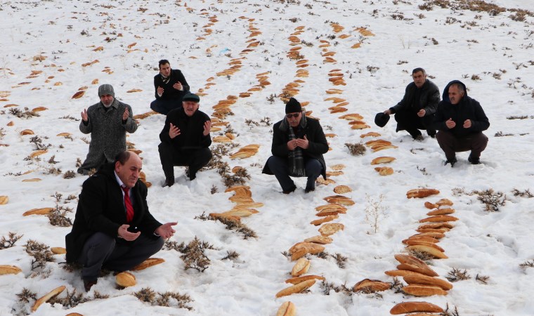 487 yıllık gelenek: Doğaya 2001 ekmek bırakıp dua ettiler