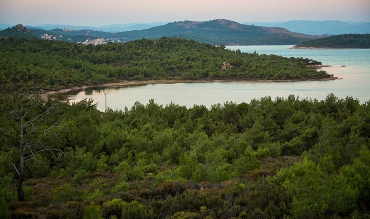 Sıra Ayvalık’a geldi! Tabiat Parkı için tek yürek oldular