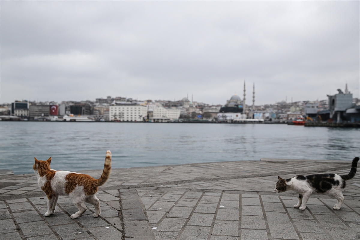 Koronavirüs günlerinde İstanbul