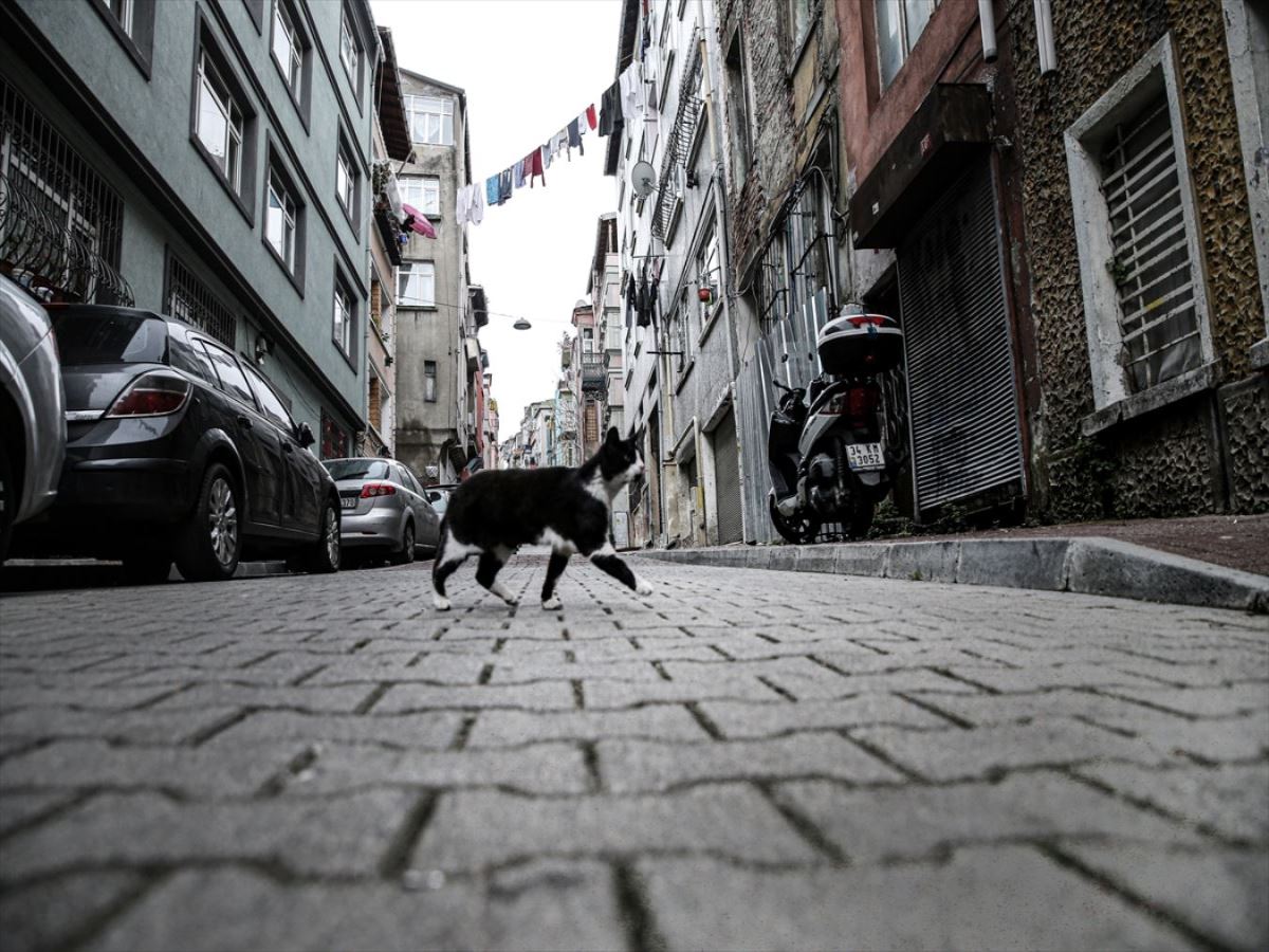 Koronavirüs günlerinde İstanbul