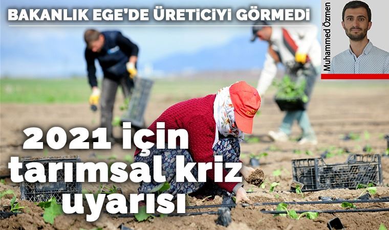 Bakanlık Ege'yi görmedi: Üretici zorda