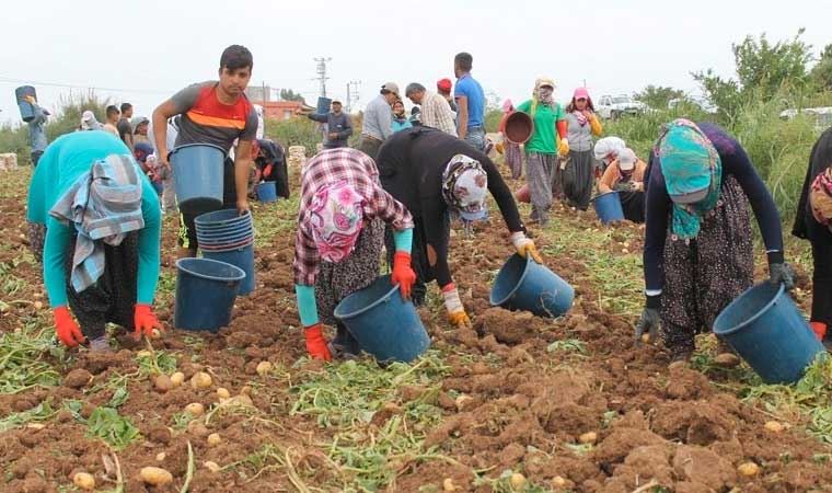 TMMOB Ziraat Odası İzmir Şubesi: Genelge kâğıt üzerinde kalmasın