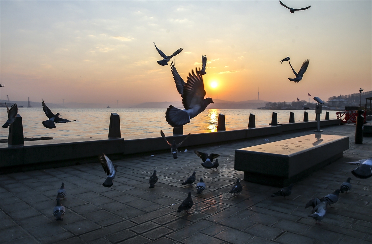 İstanbul'da "koronavirüs sessizliği"