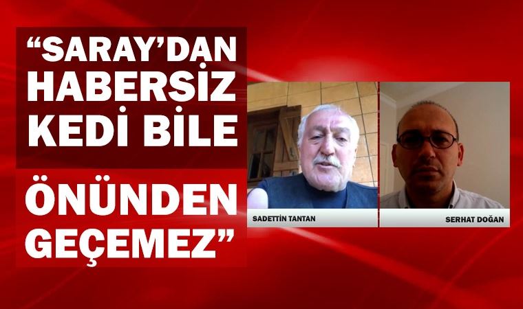 Eski Bakan Sadettin Tantan’dan, Soylu’nun istifasına Saray iması; “Kedi bile habersiz geçemez”