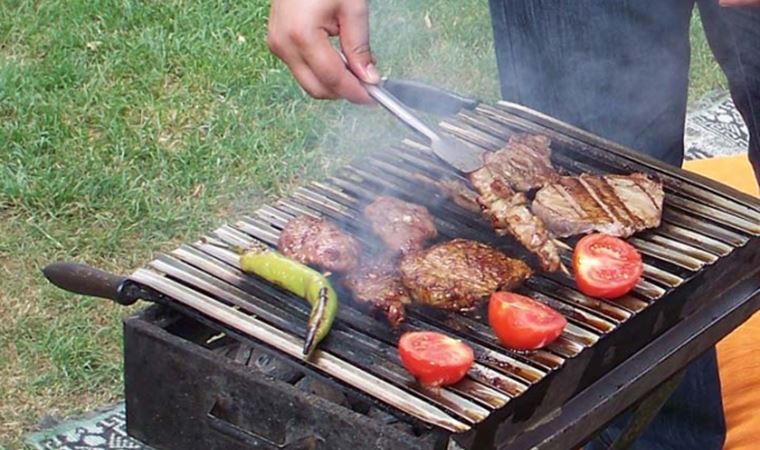 Alman polisinden mangal yakan 51 kişiye ceza!