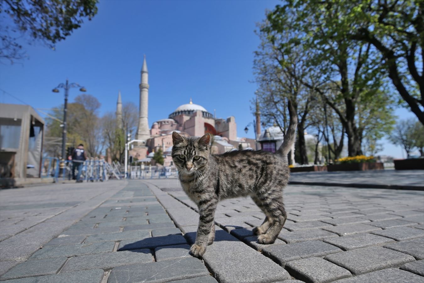 İstanbul'da koronavirüs sessizliği