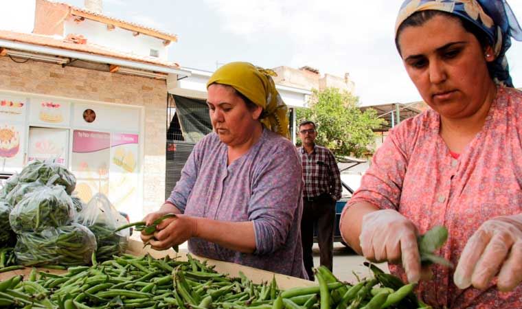 İzmir Büyük Şehir Belediyesi'nden çiftçiye destek