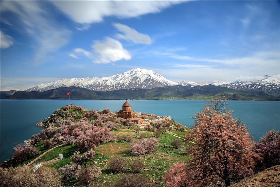 Akdamar Adası çiçek açan badem ağaçlarıyla büyülüyor