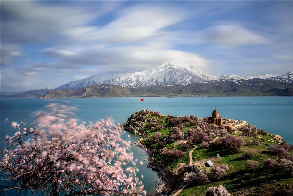 Akdamar Adası çiçek açan badem ağaçlarıyla büyülüyor