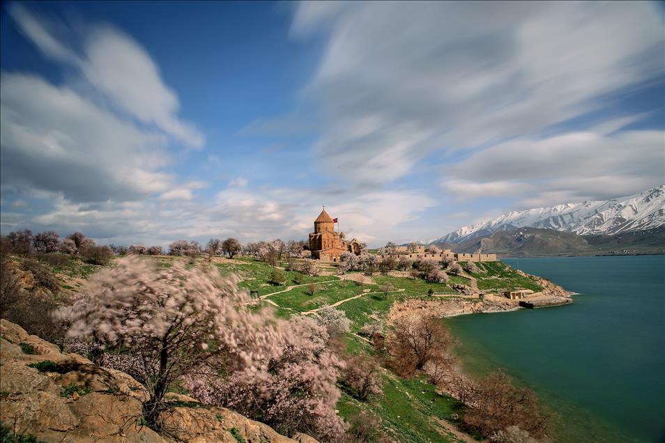 Akdamar Adası çiçek açan badem ağaçlarıyla büyülüyor