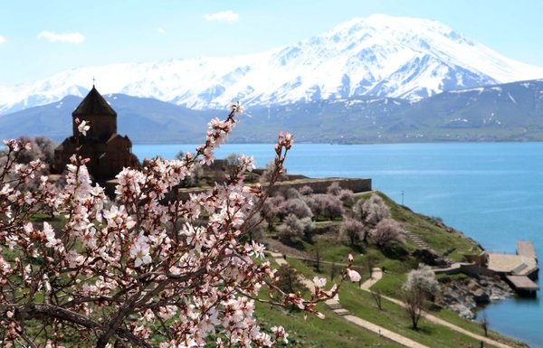 Akdamar Adası çiçek açan badem ağaçlarıyla büyülüyor