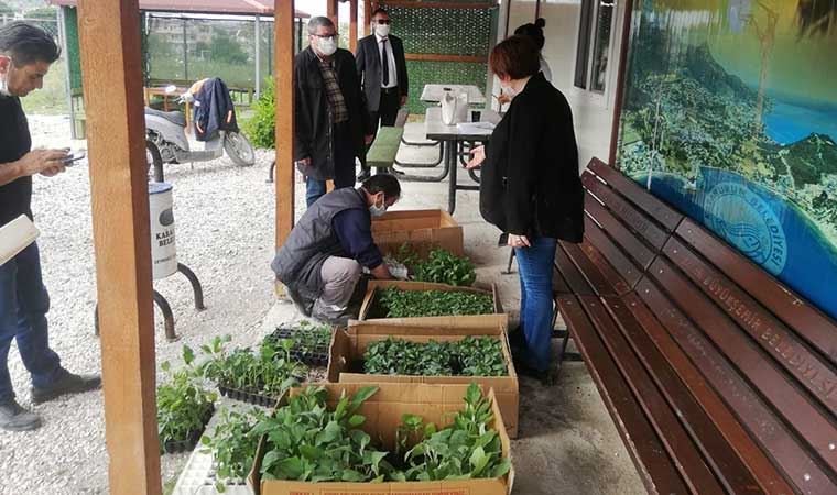 Karaburun'da çiftçiye 32 bin fide desteği