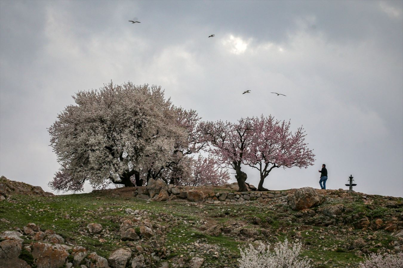 Akdamar Adası ziyaretçisiz kaldı