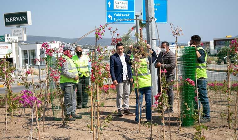 Bodrum çiçeklerle donatılıyor