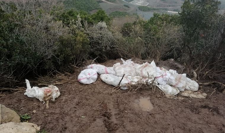 Araziye 400 tavuk ölüsü atan çiftlik sahibine ceza