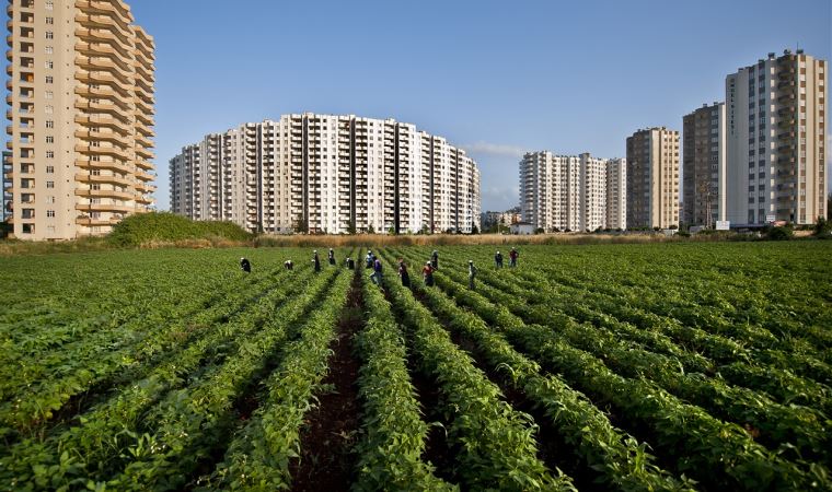 Sürdürülebilir bir tarım için uzmanlar uyarıyor!