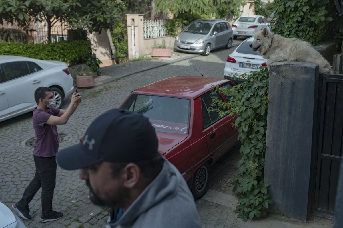 O artık daha da meşhur: Sosyal medya Rocky'yi konuşuyor