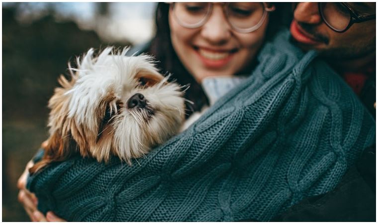 İnsanlar ve köpekler!