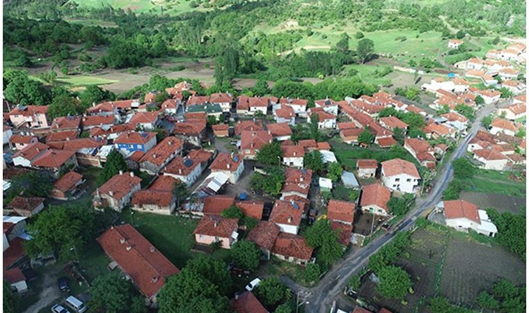 700 yıllık çöpçatanlık geleneği, koronavirüs sebebiyle yapılamadı