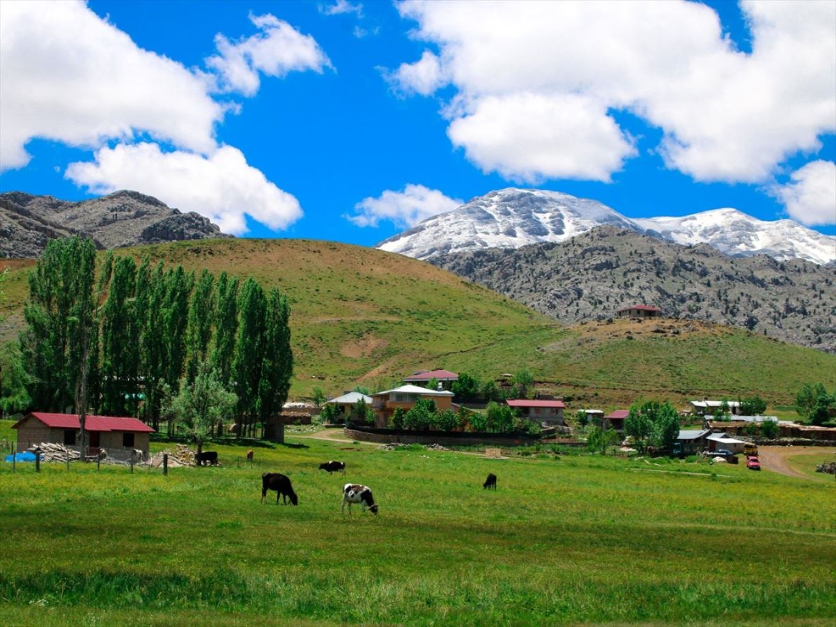 Yörüklerin yaylalardaki yaşam mücadelesi