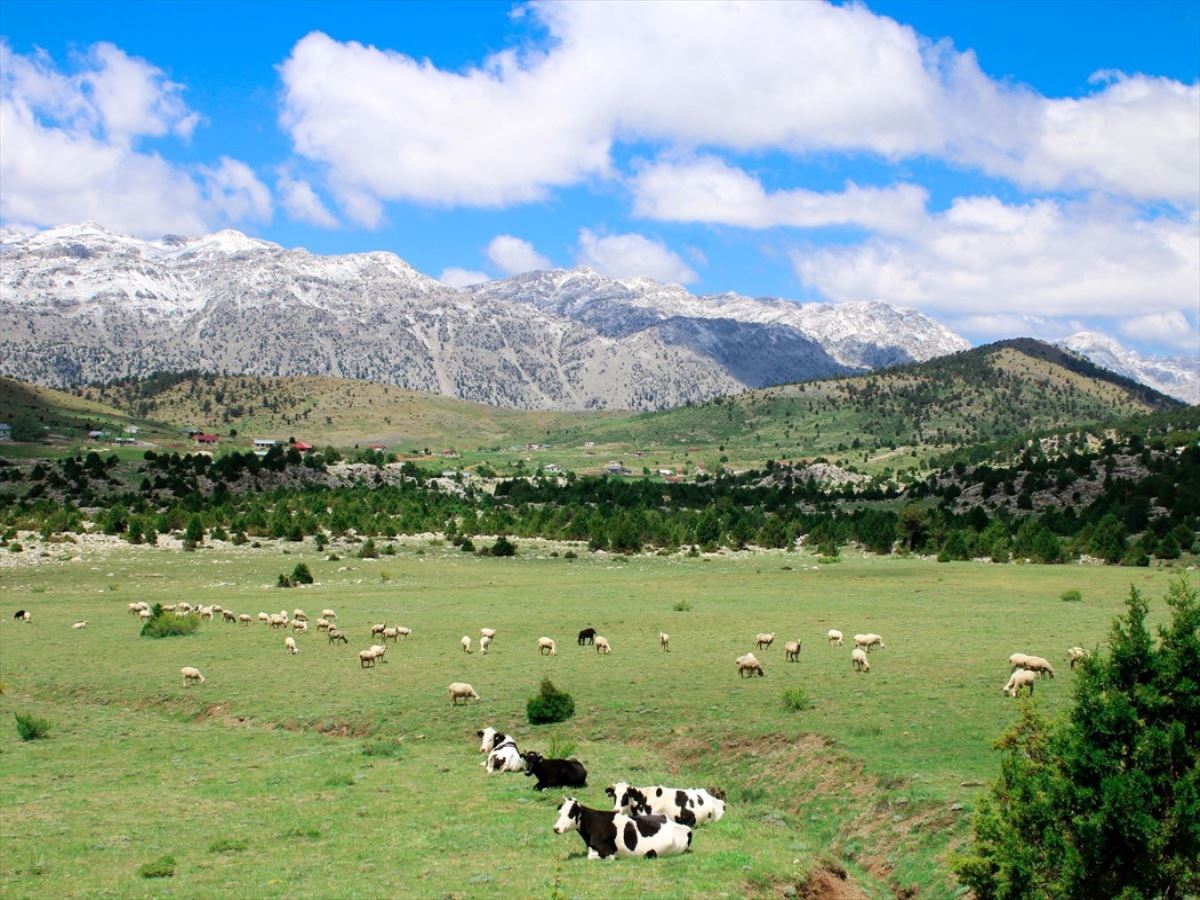 Yörüklerin yaylalardaki yaşam mücadelesi