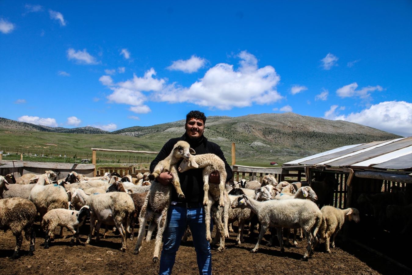 Yörüklerin yaylalardaki yaşam mücadelesi