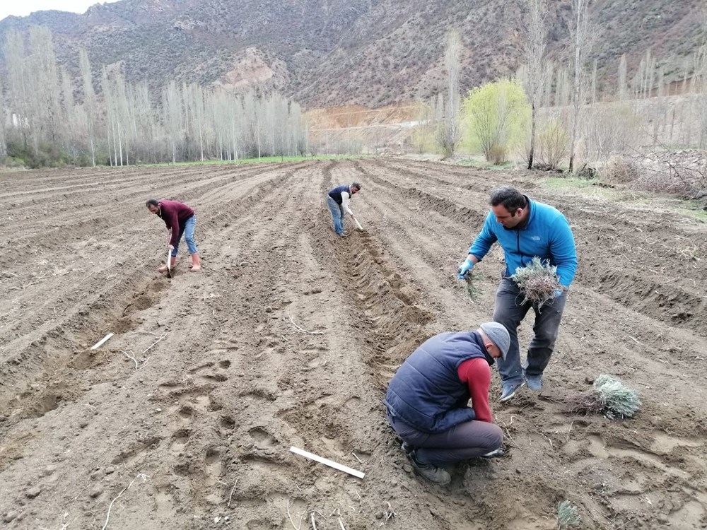 Erzurum'a tarihte ilk kez ekilmişti: Sel suları altında kaldı