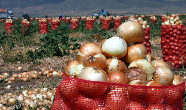 Patates ve soğan ihracatında ön izin