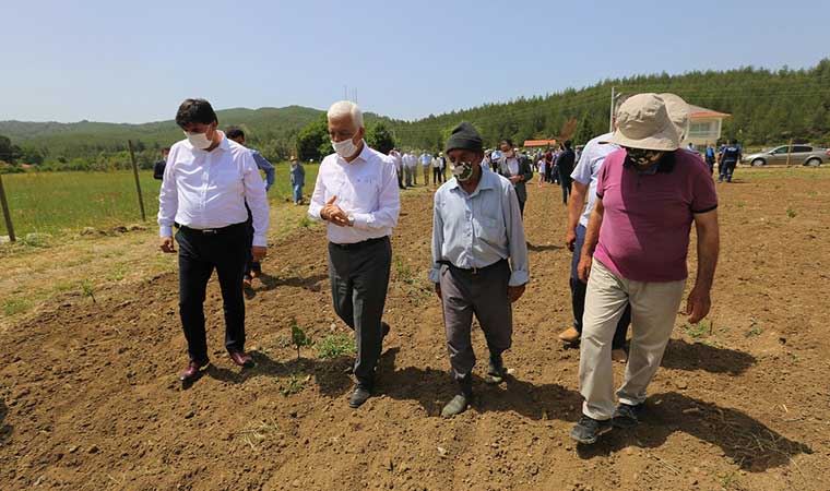 Muğla'da üzüm üreticilerine destek