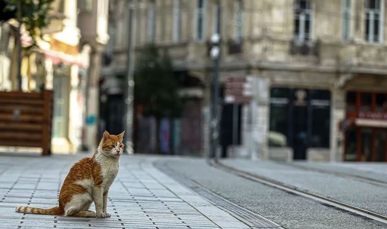 Bu hafta sonu da sokağa çıkma yasağı uygulanacak