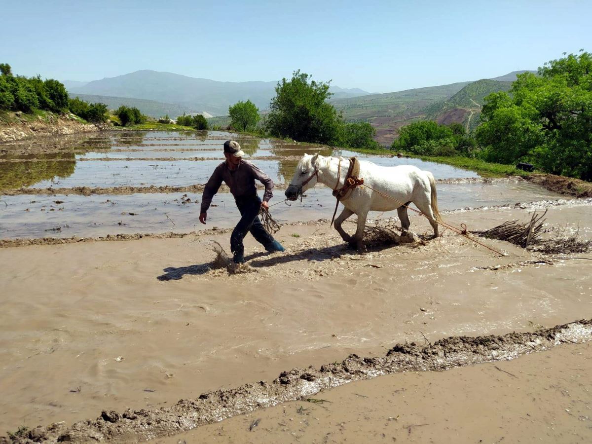 300 yıllık yöntemle tarım yapıyorlar