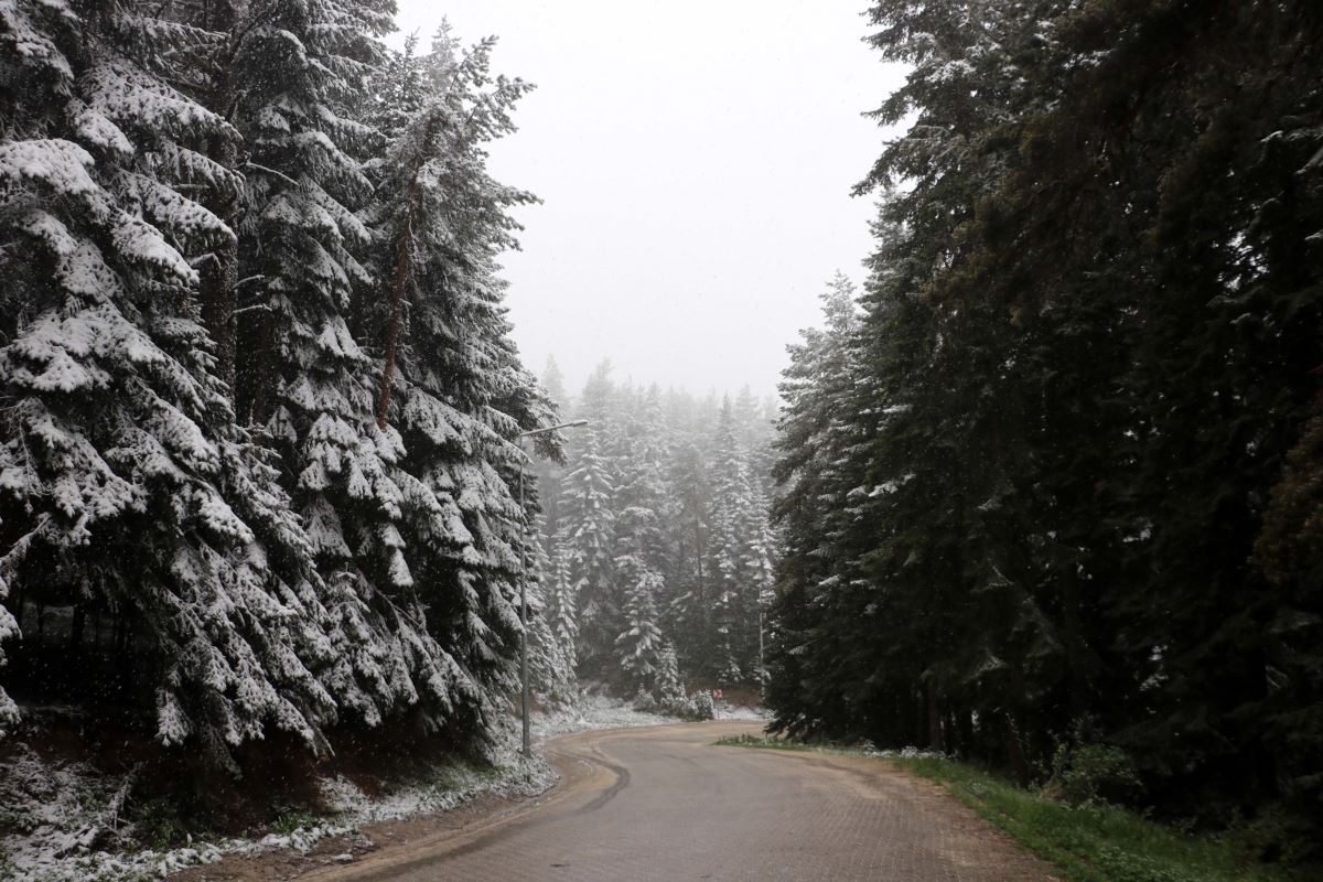 Ilgaz Dağı mayıs sonunda yağan karla beyaza büründü