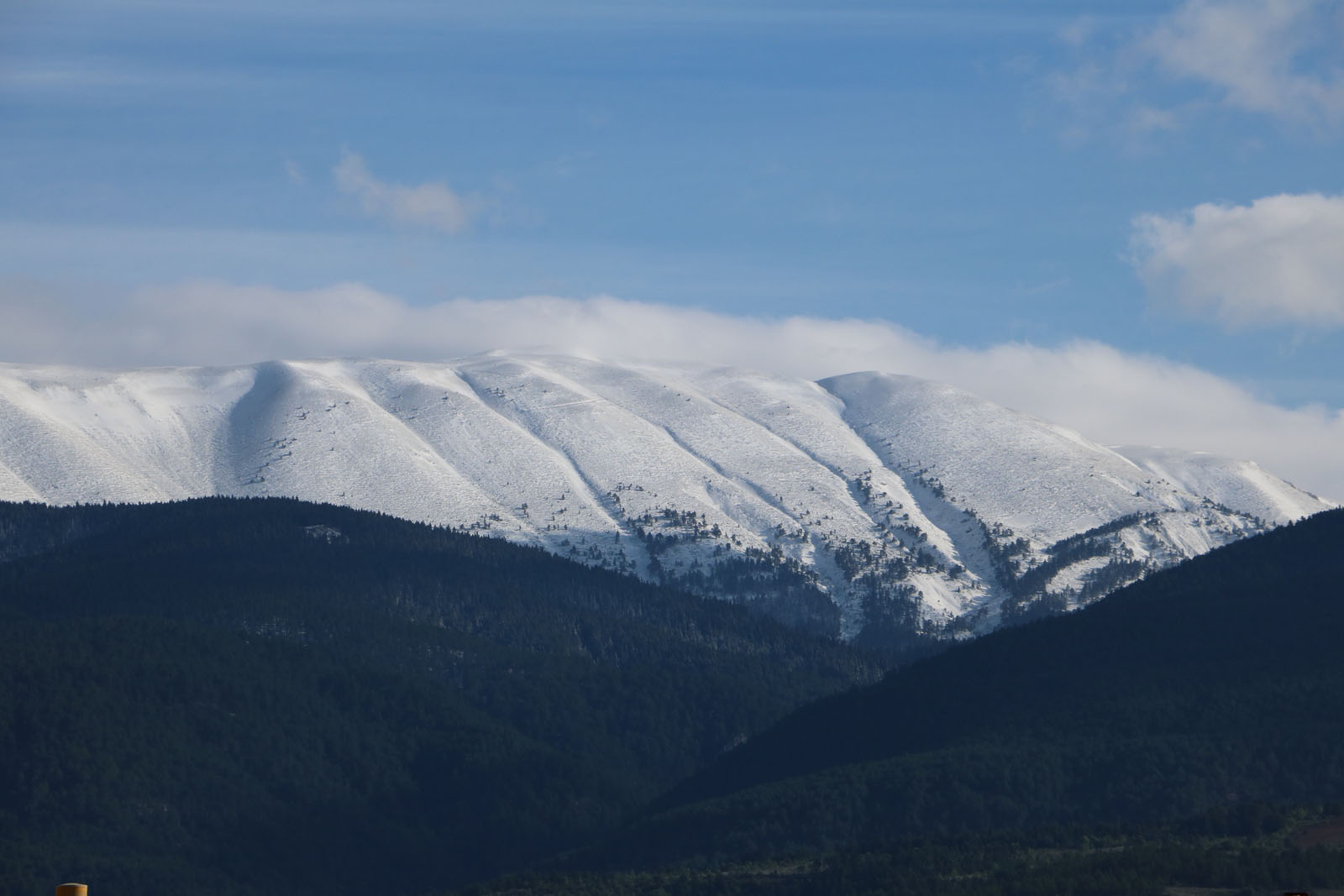 Ilgaz Dağı mayıs sonunda yağan karla beyaza büründü