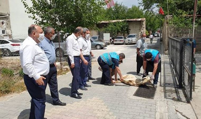 Kurban keserek cami açılışı yaptılar