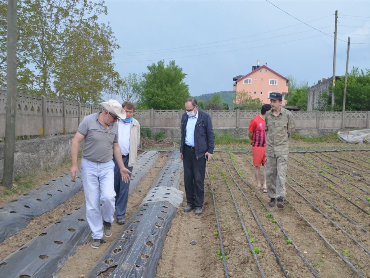 Sokağa çıkma kısıtlamasından muaf tutulan çiftçiler ekim yapıyor