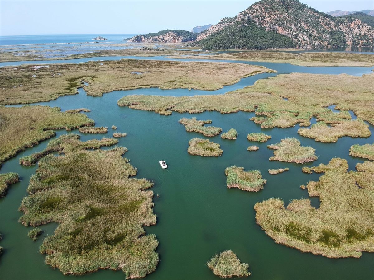 Labirent görünümlü Dalyan sazlıkları