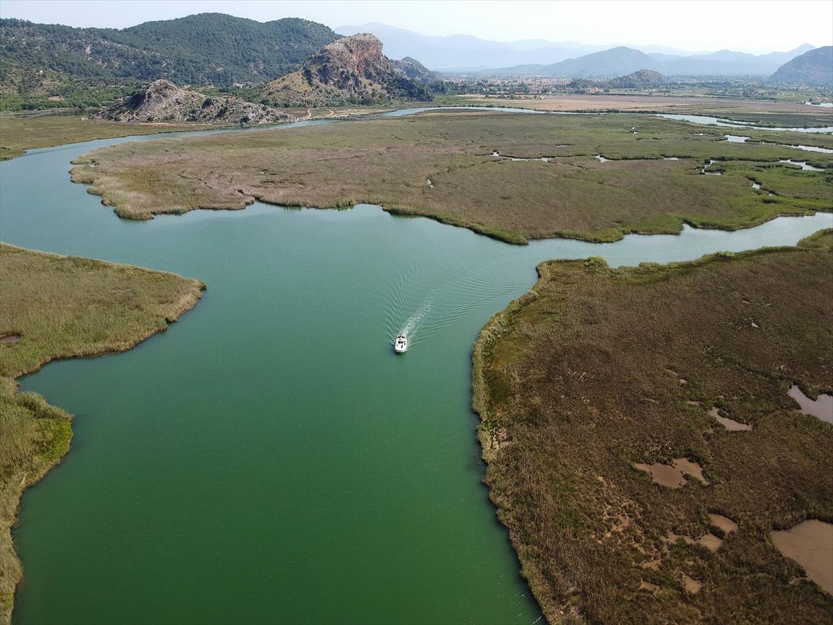 Labirent görünümlü Dalyan sazlıkları