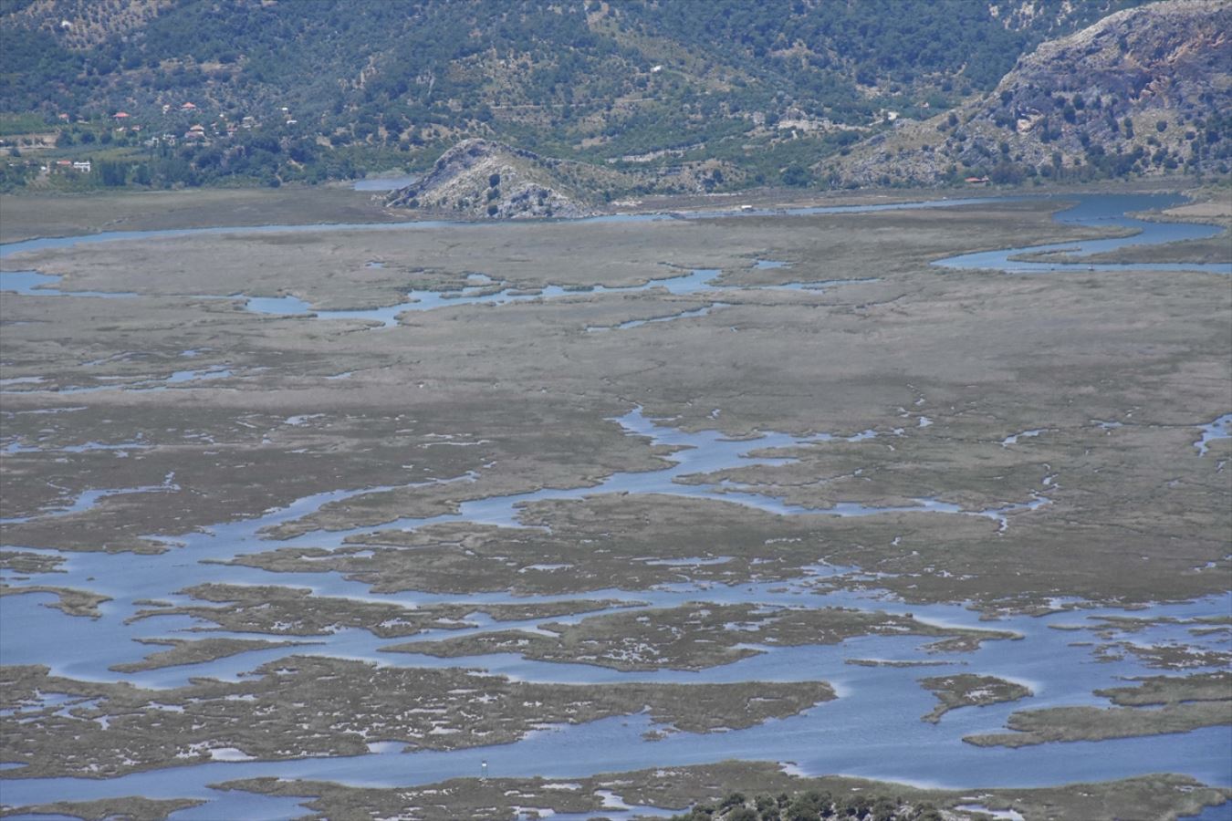 Labirent görünümlü Dalyan sazlıkları