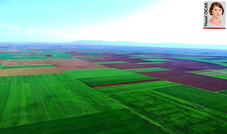 Danıştay’dan Alpu Ovası’nda termik santrala izin yok