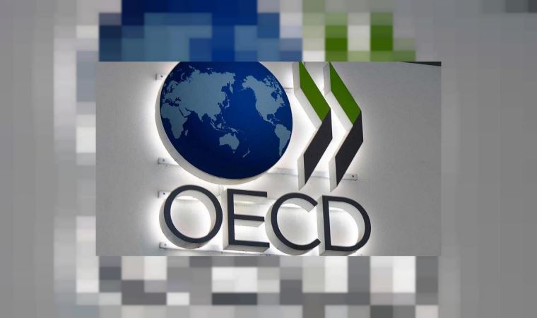 OECD'den Türkiye'ye kritik uyarı: Yüzde 8.1 küçülme olabilir