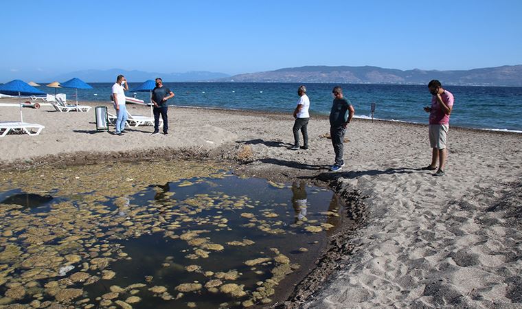 Bodrum'da kurutulan azmak can suyuyla kurtarıldı