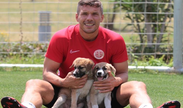 Yavru köpekler artık Antalyaspor'da!