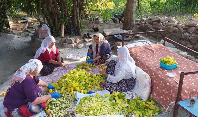 Lice'den başlayan kadın dayanışması