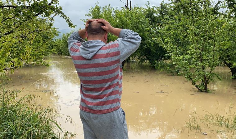 İznik'te sağanak; tarım arazilerinde zarar büyük