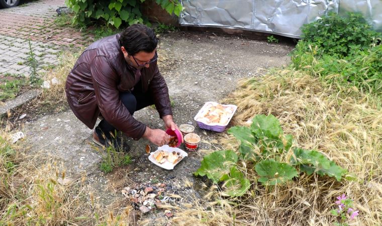 Düzce'de vahşet: Patileri kesik ölü kedi bulundu