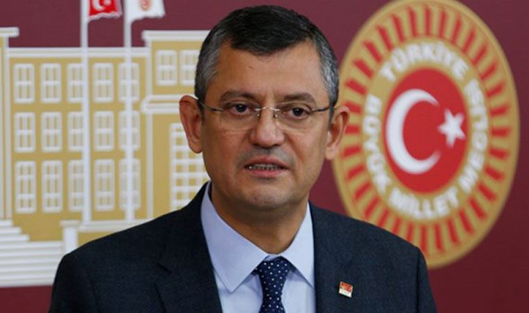 Özgür Özel'den AKP'ye çağrı: Hayvan Hakları Yasası'nı TBMM'den geçirelim