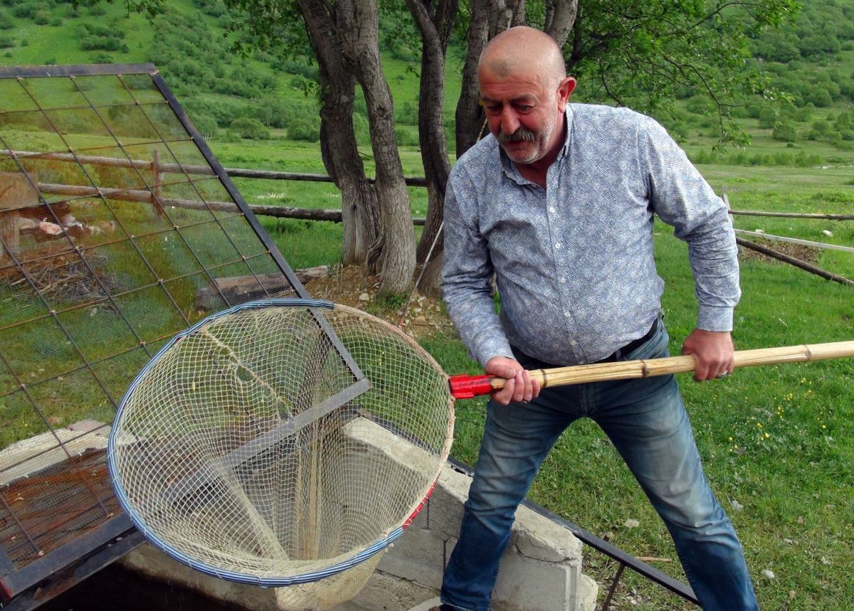 Yaylada tek başına yaşıyor